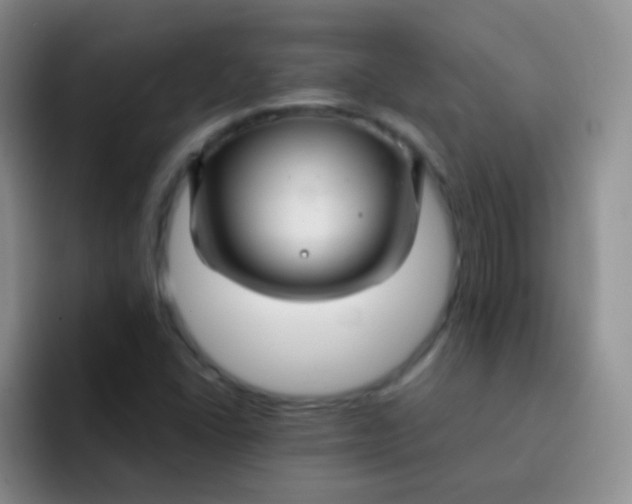 X0000091941406200709261924