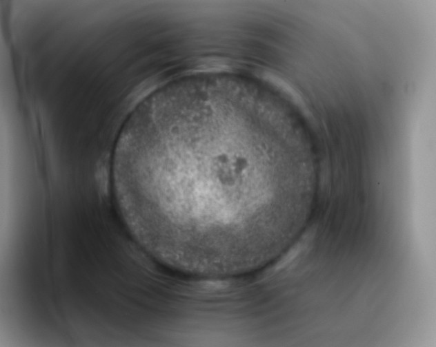 X0000091941409200709261924