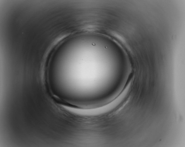 X0000091941410200709261924