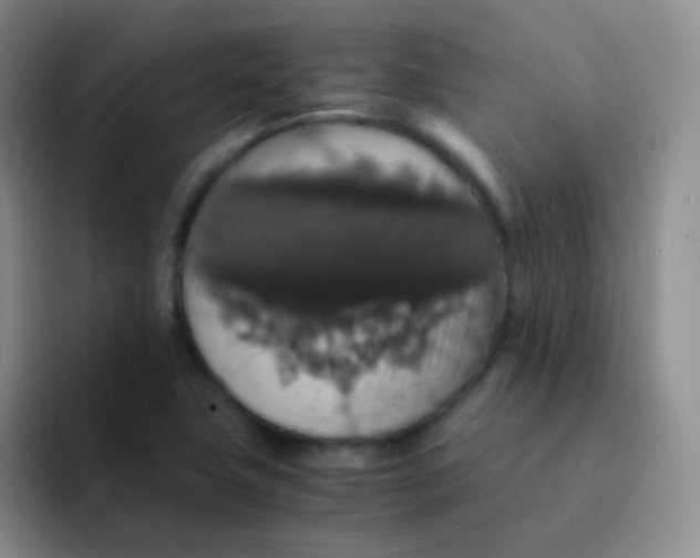 X0000091941411200709261924