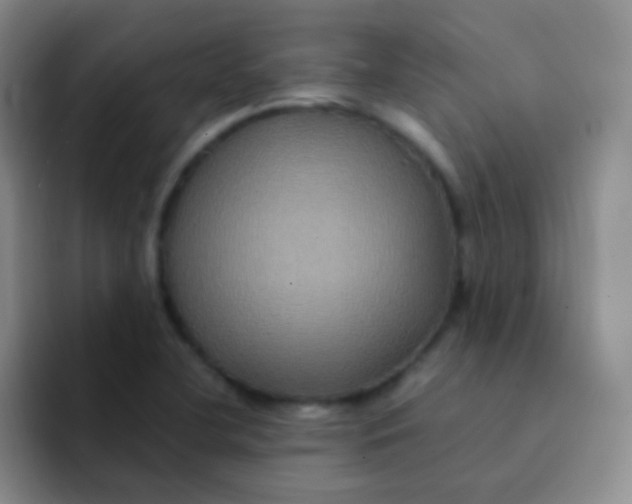 X0000091941412200709261924