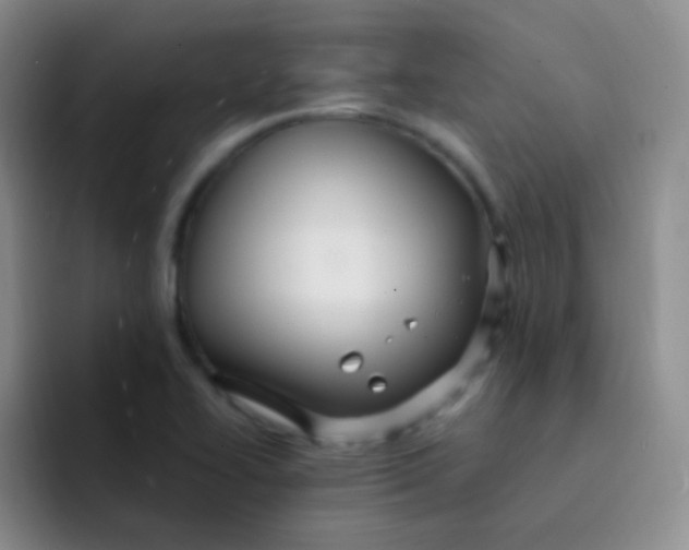 X0000091941414200709261924