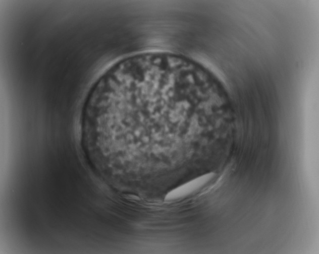 X0000091941415200709261924