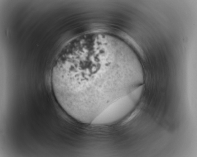 X0000091941417200709261924