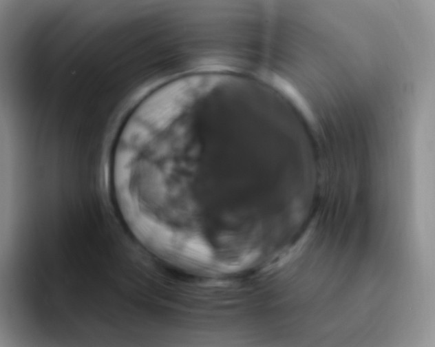 X0000091941419200709261924