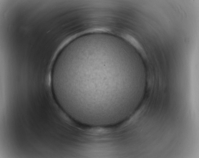 X0000091941420200709261924