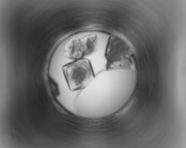 X0000091941421200709261924