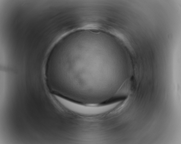 X0000091941422200709261924