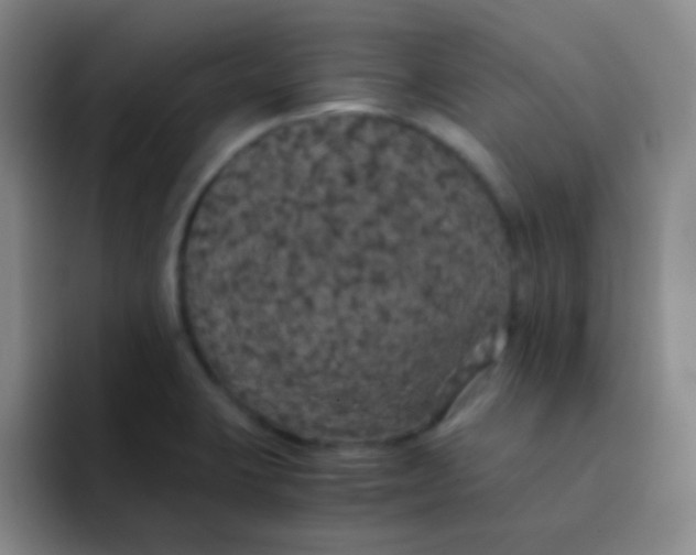 X0000091941423200709261924