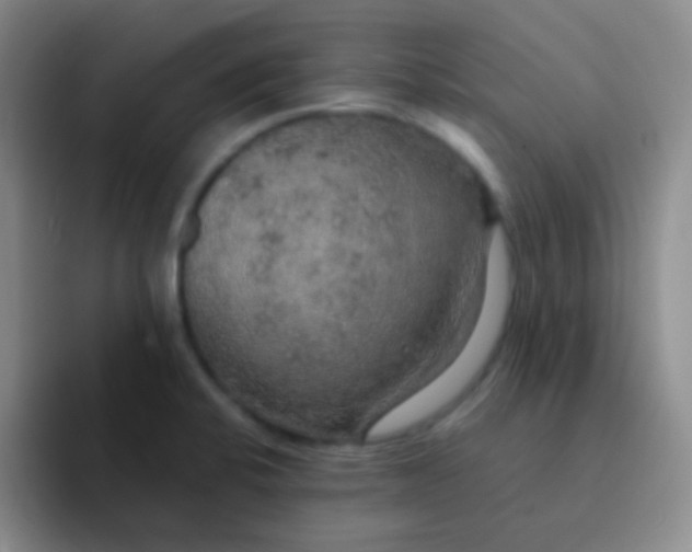 X0000091941424200709261924