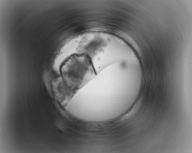 X0000091941425200709261924