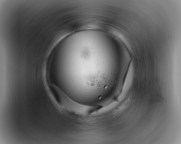 X0000091941426200709261924