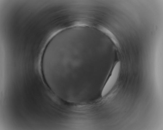 X0000091941427200709261924