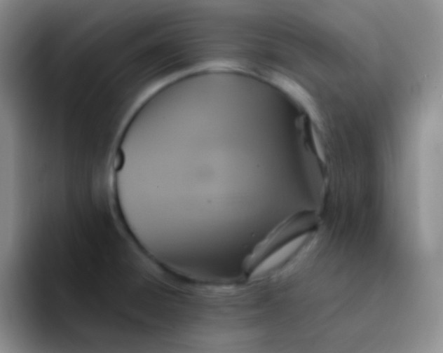 X0000091941428200709261924