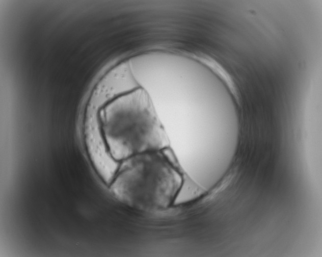 X0000091941429200709261924