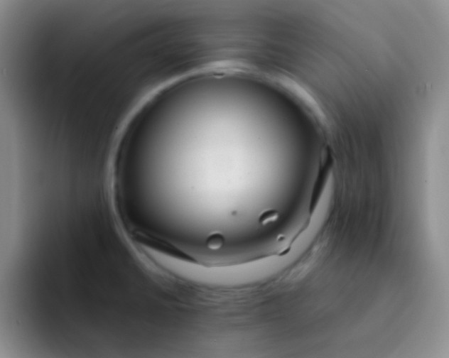 X0000091941430200709261924