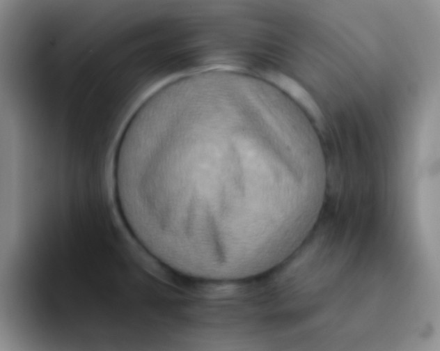 X0000091941431200709261924