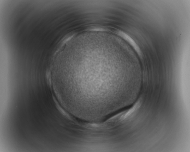 X0000091941433200709261924