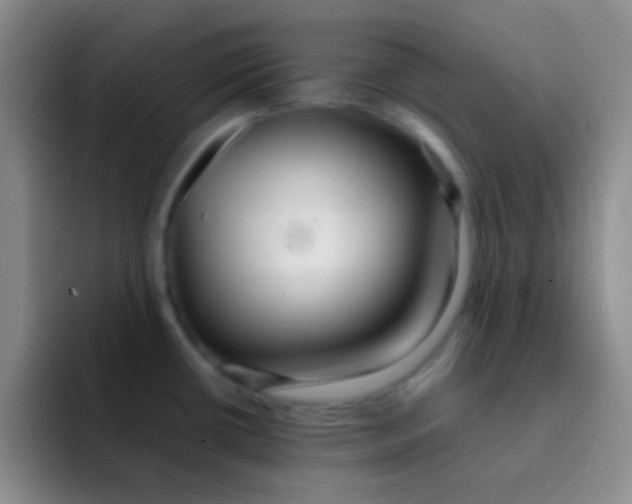 X0000091941434200709261924