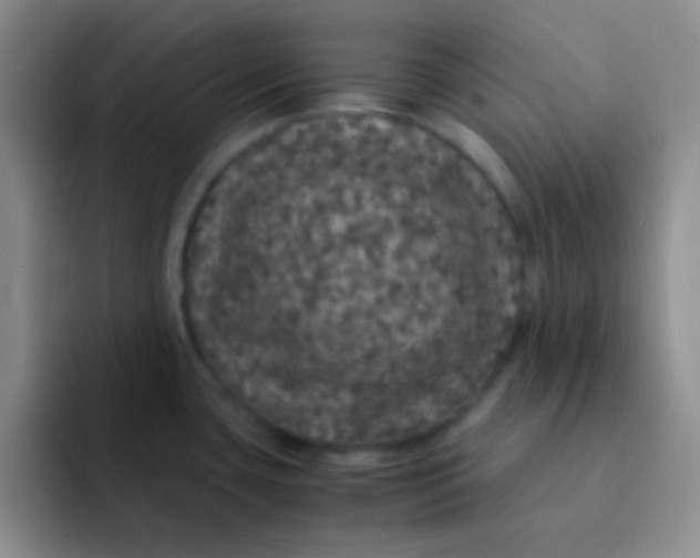 X0000091941435200709261924