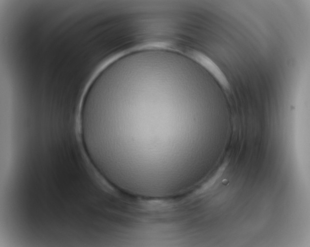 X0000091941436200709261924