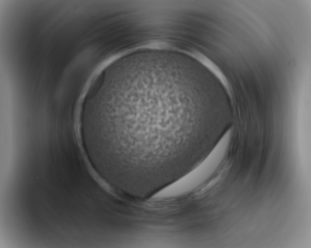 X0000091941437200709261924