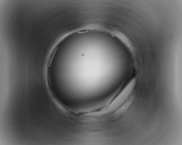 X0000091941438200709261924