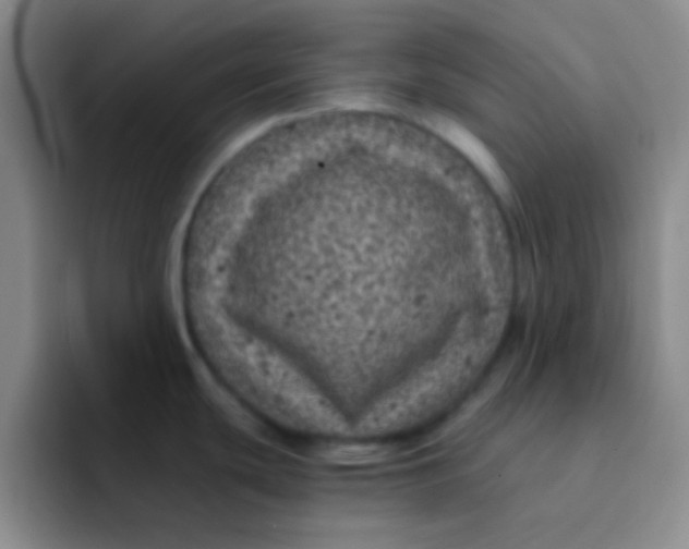 X0000091941439200709261924