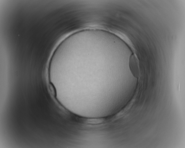 X0000091941440200709261924