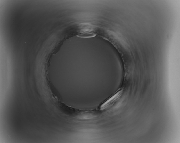 X0000091941441200709261924