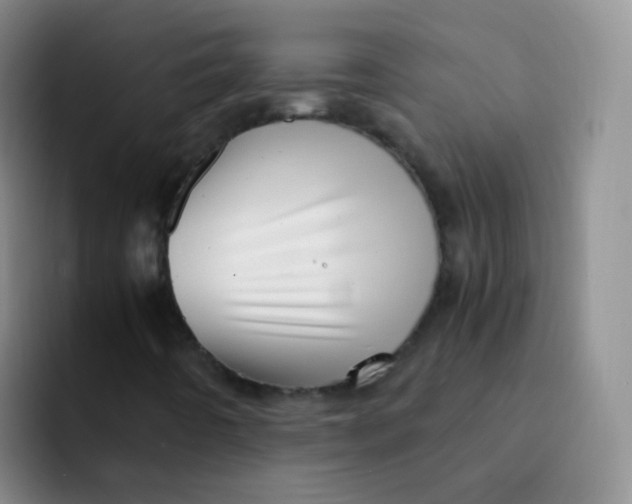 X0000091941442200709261924