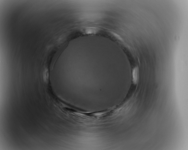 X0000091941443200709261924