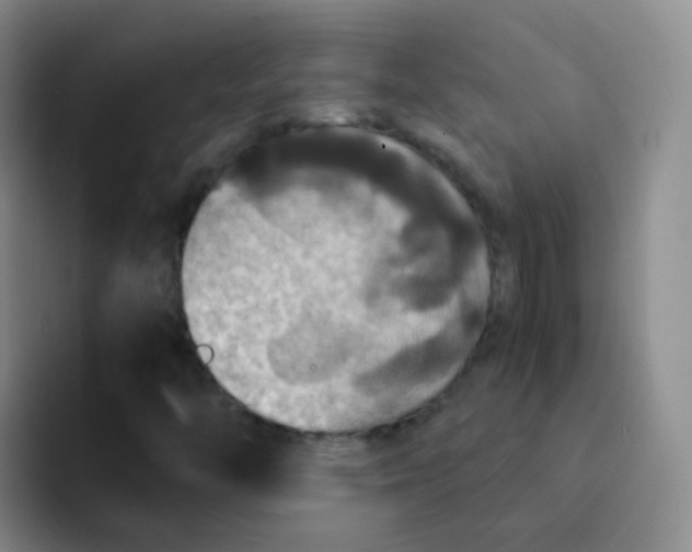 X0000091941446200709261924