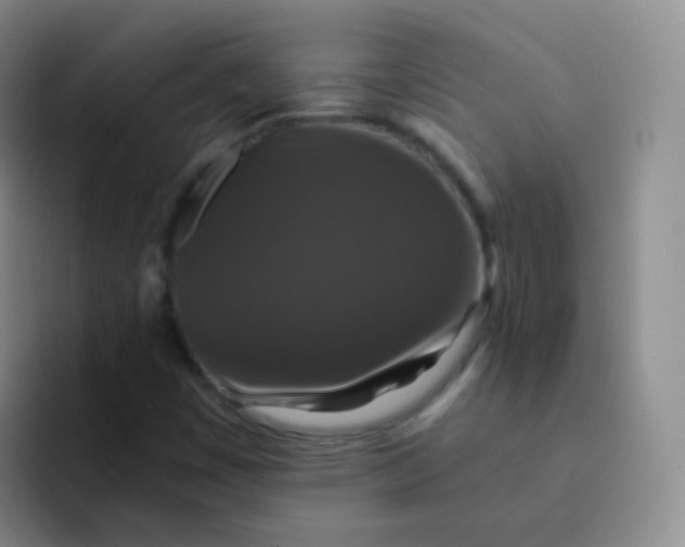 X0000091941449200709261924