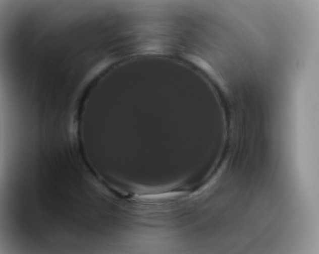 X0000091941450200709261924