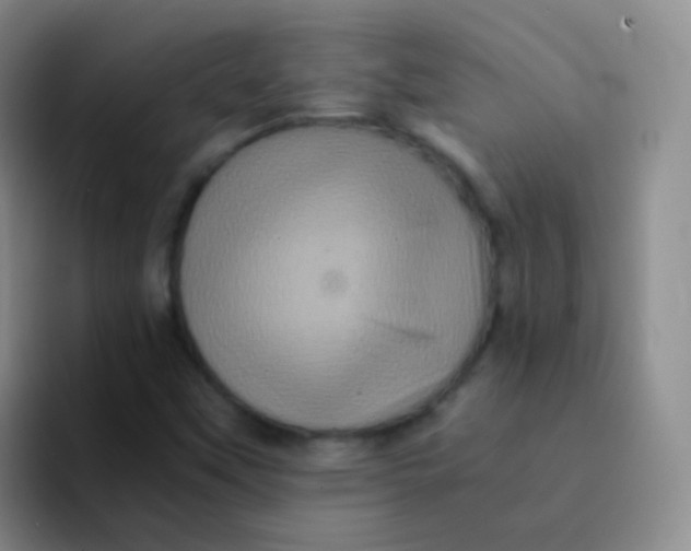 X0000091941451200709261924