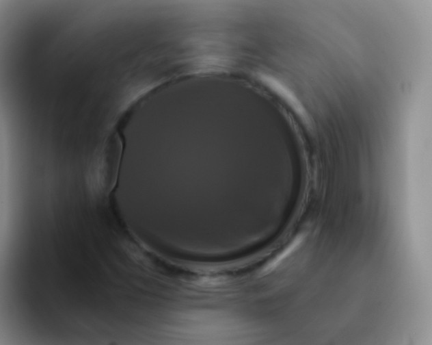 X0000091941453200709261923