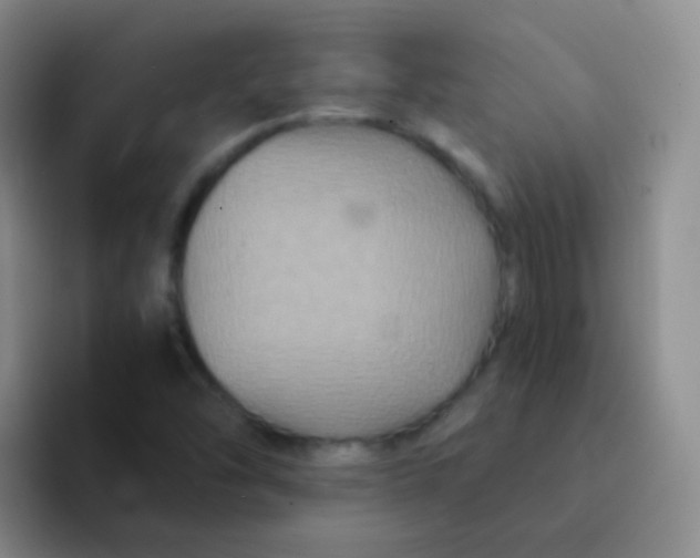 X0000091941454200709261923