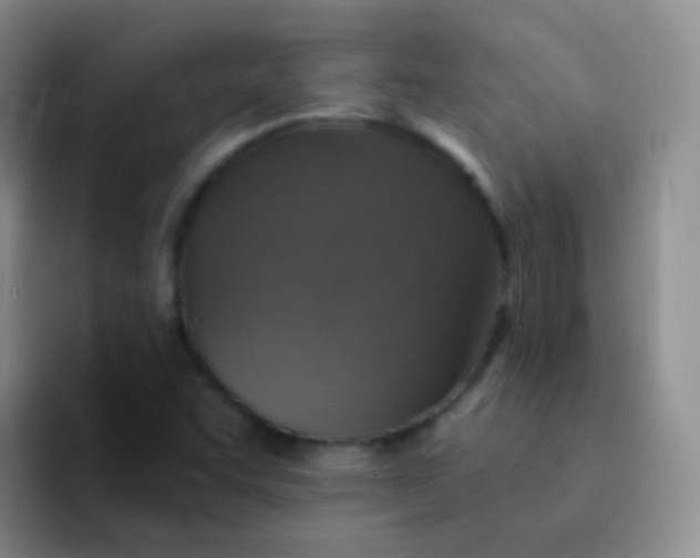 X0000091941455200709261923