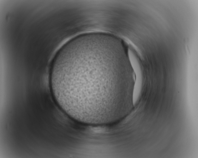 X0000091941460200709261923