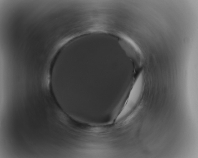 X0000091941461200709261923