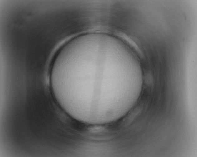 X0000091941462200709261923