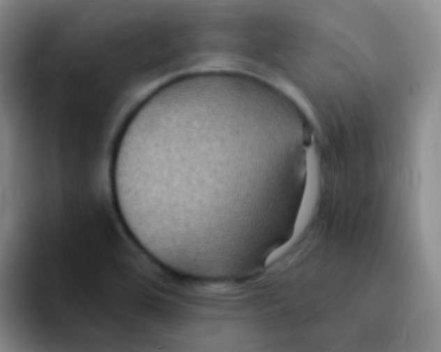 X0000091941464200709261923