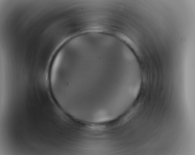 X0000091941466200709261923