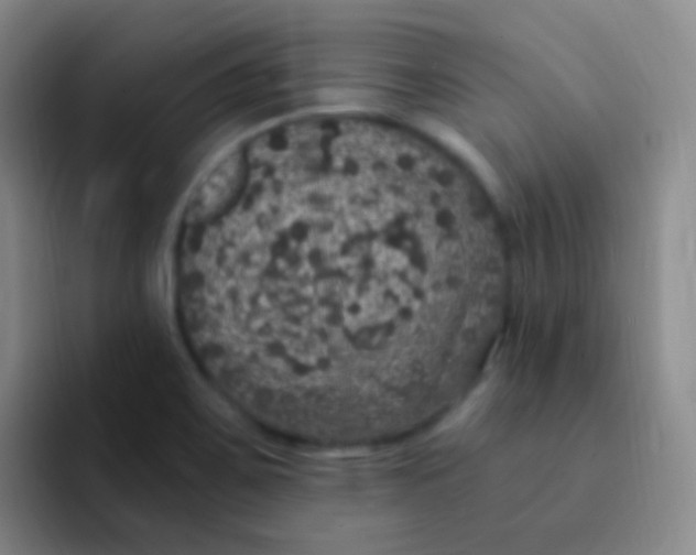 X0000091941467200709261923