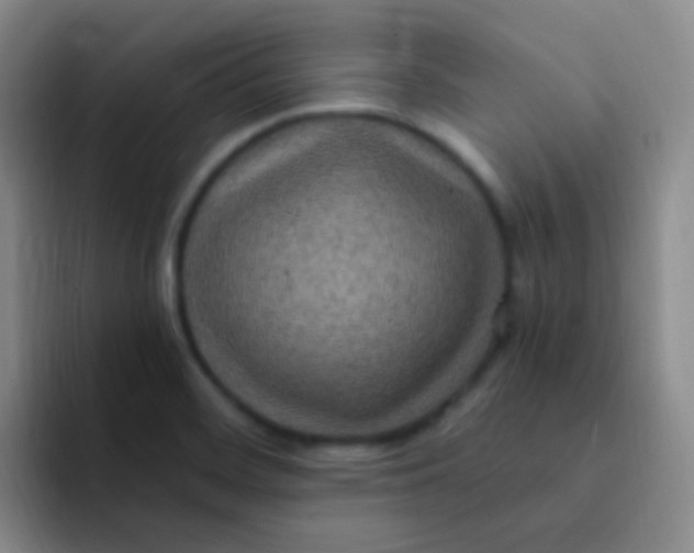 X0000091941468200709261923