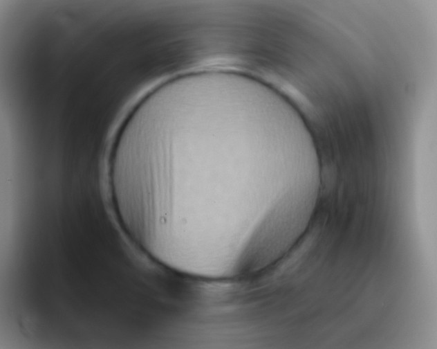 X0000091941470200709261923