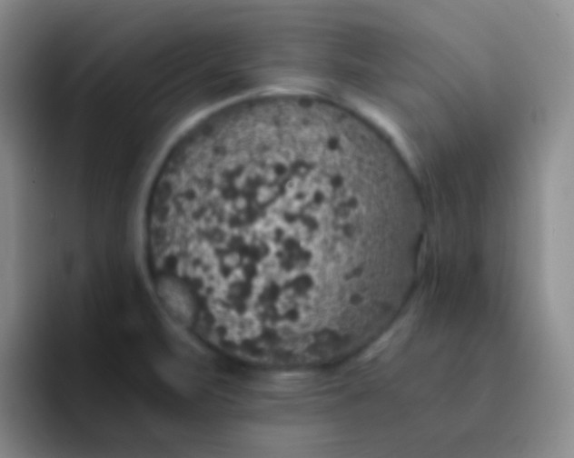 X0000091941471200709261923