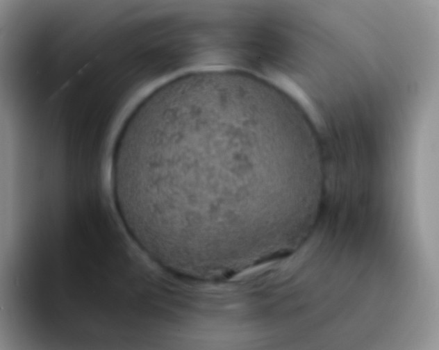 X0000091941472200709261923