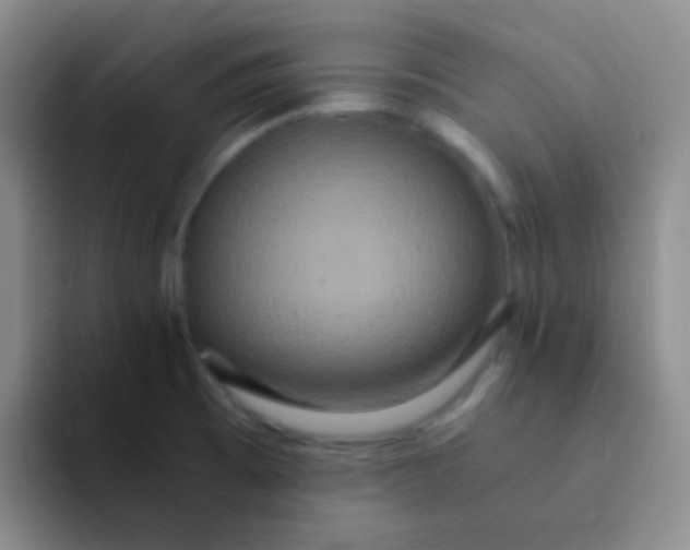 X0000091941473200709261923